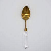 Acrylic Handle Dinner Spoon-
